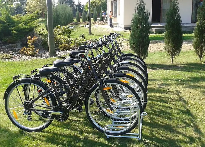 Nad Wisłą Dobrzyków