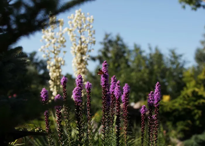 Nad Wisłą * Dobrzyków